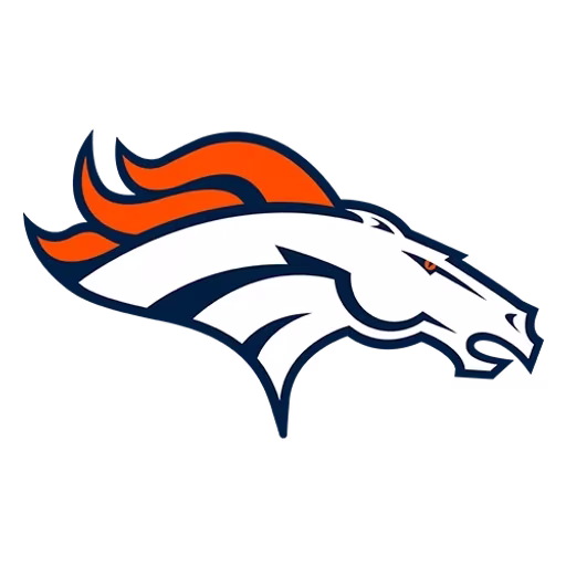 Denver Broncos flag