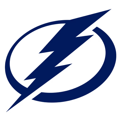 Tampa Bay Lightning flag