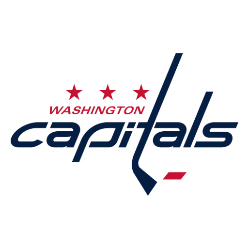 Washington Capitals flag
